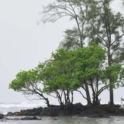 Hurricanes bring flooding and dangerous surf threats to Hawaii and Mexico