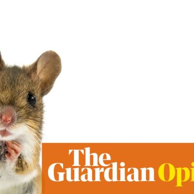 Is the world about to be overrun by trans mice? Not if congresswoman Nancy Mace has anything to do with it | Arwa Mahdawi