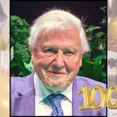 Conservation hero David Attenborough marks 100 years with soaring tributes