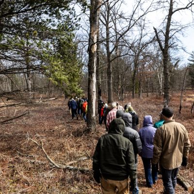 See this Michigan nature preserve honored with ‘old-growth forest’ status