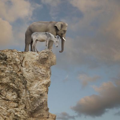 There is no unity in presidential immunity