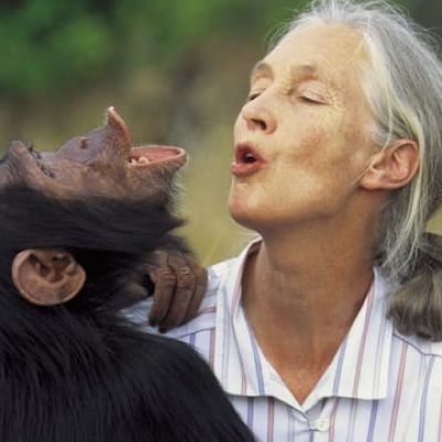 Remembering Jane Goodall, Primate Pioneer Who Brought The World Closer To Chimpanzees