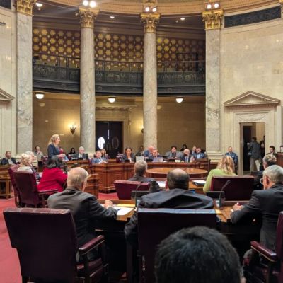 Senate quickly passes voter ID amendment Tuesday as Assembly begins consideration