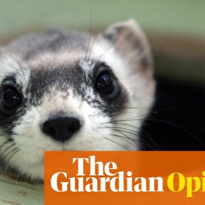 On the 50th anniversary of the Endangered Species Act, a rightwing threat looms | Kim Heacox