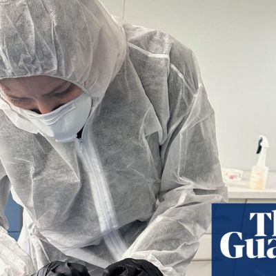 Bird flu confirmed in second Australian state as infected petrel brings deadly H5N1 cases to three