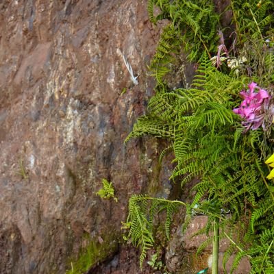 ‘Raw Water’ Devotees Swear by Natural Springs, Despite the Risks