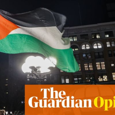 To build an effective movement for Palestine we need every ally | Judith Levine