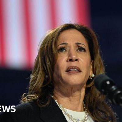 Michigan’s Arab-Americans face dilemma over Harris’s Gaza policy