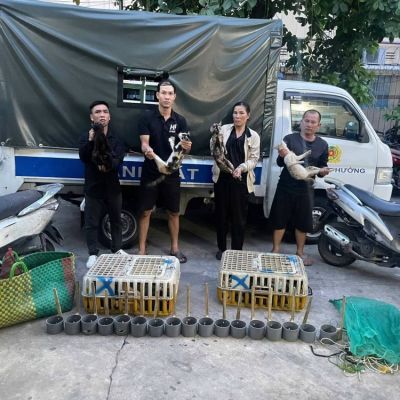 Vietnam police rescue 400 cats from cat-meat theft ring as dozens reunited with owners