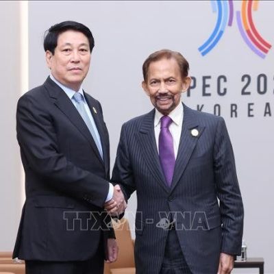 Vietnamese, Bruneian leaders pledge to promote the practical development of bilateral ties