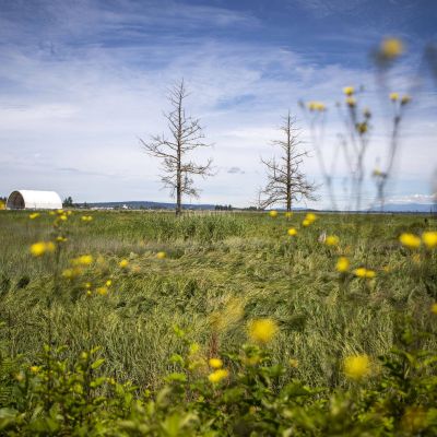 If Climate Commitment Act is repealed, what local projects are at risk? | HeraldNet.com