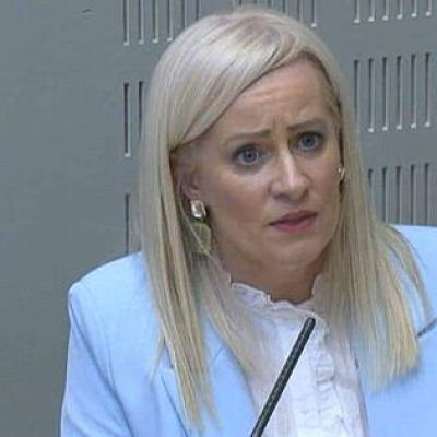 Fianna Fáil minister ‘categorically’ disagrees with Burnham on unity poll – National News – Carlow Nationalist