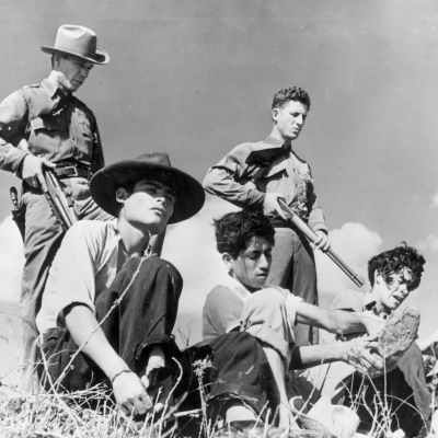 “A climate of fear”: Trump’s mass deportations could bring “human misery” in 2025