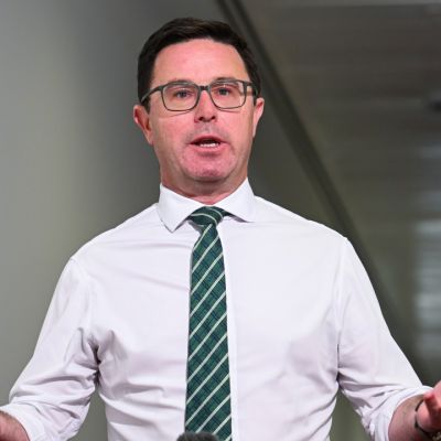 ‘Economics is real’: Littleproud congratulates Liberals on net zero move