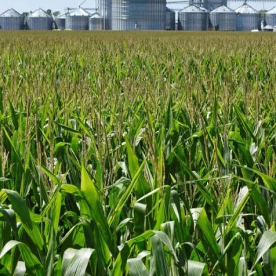 America’s Farm Recession Is Here. One Early Response Is Sending Billions to Farmers.