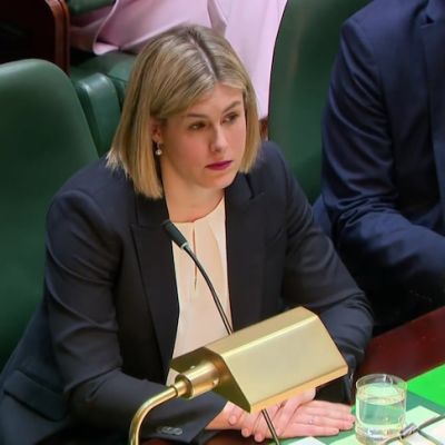 A ‘clown show’ or an alternative government — the task facing Jess Wilson