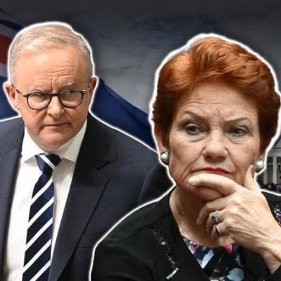 ‘Don’t stuff it’: Labor relishes One Nation super fight