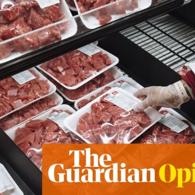 The Guardian view on farming’s green transition: the politics aren’t looking good | Editorial