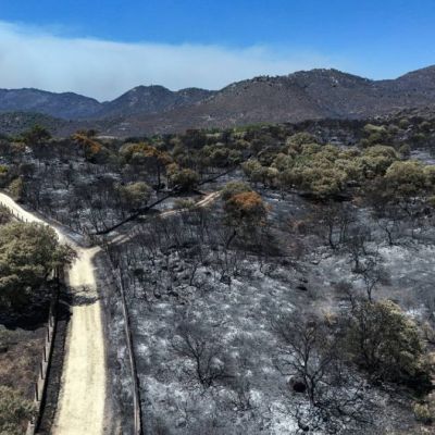 France and Spain race to contain fires before new heatwave – kuwaitTimes