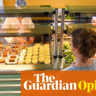 Organic cheese and free lunch for all: what the US can learn from other nations about better school meals
