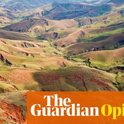 From drones to genomics, science can help fight extinction: that work must begin at Cop16 | Angela McLean