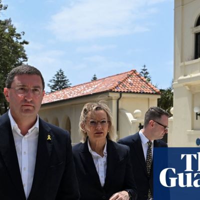 Sussan Ley says stricter gun laws ‘must be on the table’ after Bondi beach terror attack – video