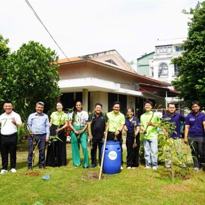 HCM City launches Community Bamboo Garden project on World Bamboo Day