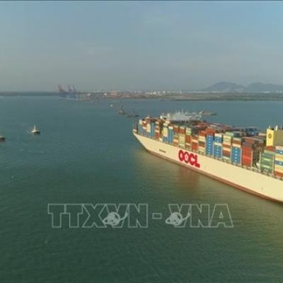 HCM City Department of Tourism proposes reception of int’l cruise ships at Cái Mép-Thị Vải