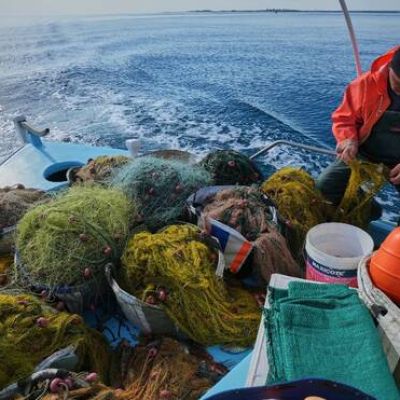 Cypriot fishermen battle invasive lionfish and turn them into a