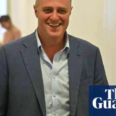 Tim Wilson urges scrutineers to 'knock out informal votes' for Zoe Daniel in leaked WhatsApp messages