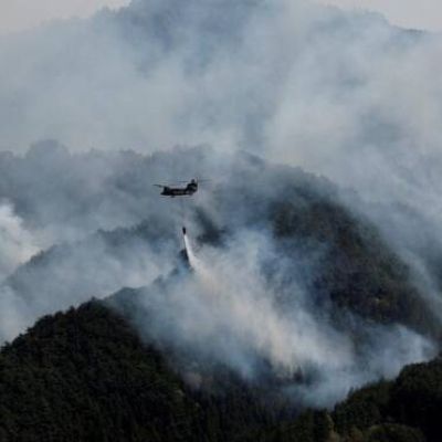 Global fire outbreaks hit record high as ‘unprecedented’ heat