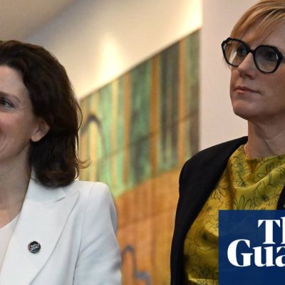 Teal MPs decry anonymous ‘push poll’ sent to voters in two independent seats