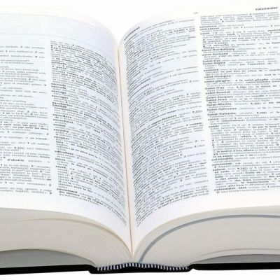 ‘Skibidi’, ‘delulu’ and ‘tradwife’ among words added to Cambridge Dictionary
