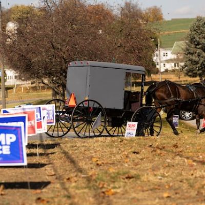 Letters to the editor: ‘One dominant theme emerged … how could the American people be so stupid?’ Letters to the editor for Nov. 8