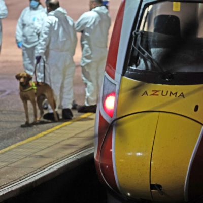 Train hero fights for life as knife attack suspect remains in police custody