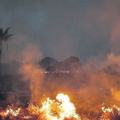 Burning waste? You could be fined €5,000