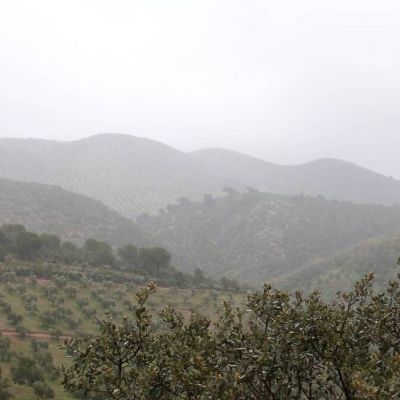 Eight backcountry skiers perish in California avalanche, ninth presumed dead