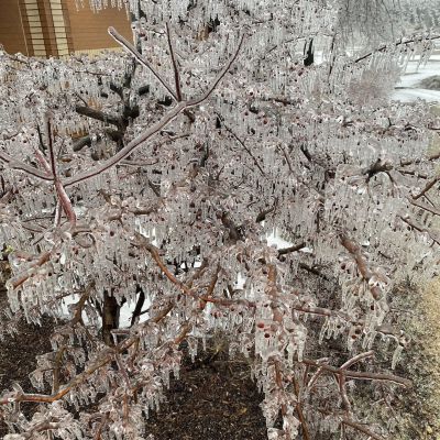 Northern Michigan power outages: Crews target Tuesday restoration for most impacted homes