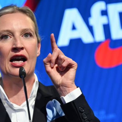 EU manipulating polls to oust Orban – German opposition leader