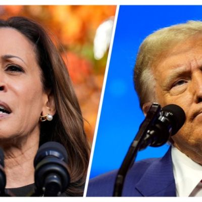 Harris has slight leads in 'blue wall' states: Marist polls