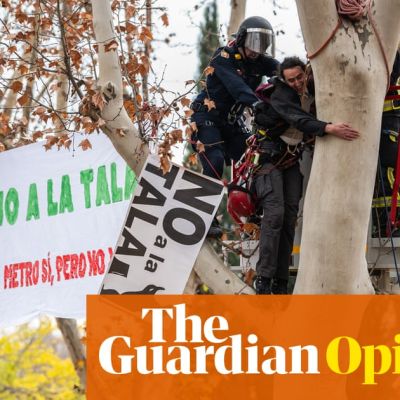 Madrid is one of the hottest cities on Earth. So why are so many of our trees being chopped down? | Felicity Hughes