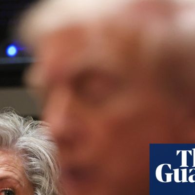 From ‘odd’ Musk to ‘painful’ tariffs: key takeaways from interviews with Trump’s chief of staff