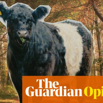 I bought a farm, hated the cows, and sold it. Then somehow, I bought another | John Humphrys