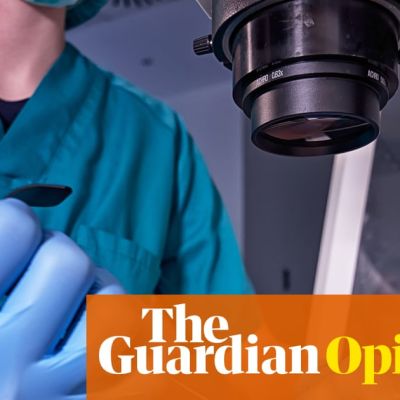 The Trump administration is calling frozen embryos children | Moira Donegan