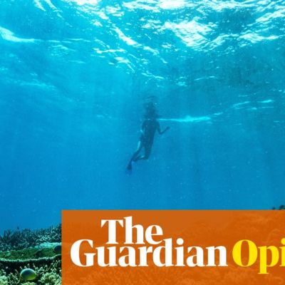 Shark or man? I am less afraid to swim in the ocean than run in a forest alone | Eleanor Limprecht