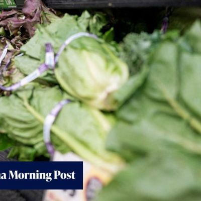 US declares end to lettuce parasite outbreak that killed 2