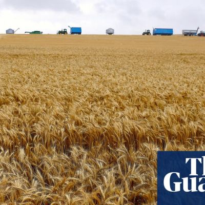 Paraquat will continue to be used in Australia despite 70 countries banning weedkiller over Parkinson’s disease fears