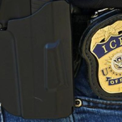 CHECKMATE SCHUMER: Trump Announces He Will Deploy ICE to Airports for Security and Immediate…