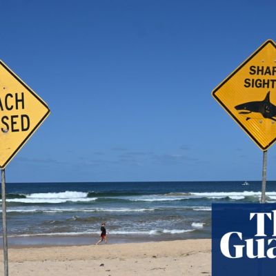 NSW is pausing its shark net reduction trial after fatal Long Reef beach attack. What’s the plan this summer?