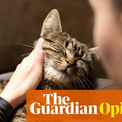 Sorry JD Vance, but being a ‘childless cat lady’ is actually not a bad thing | Arwa Mahdawi